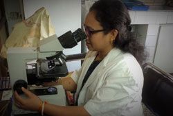 Lab technologist examining a blood slide under the microscope
