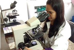 Lab technologist at a microscope in the clinic laboratory